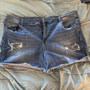 MAURICES JEAN SHORTS - PLUS SIZE - 24W